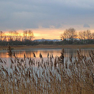 Slurry Lagoon - Sunset