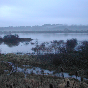 Flooded Gravel Pits