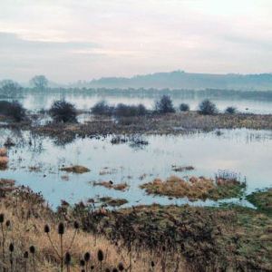 Flooded Gravel Pits