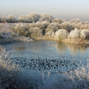 Frozen Deep Pit