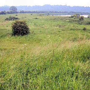 Gravel Pits-Gropper-territory