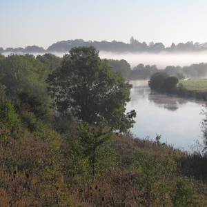 Misty river