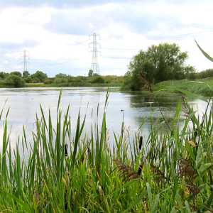 Large Gravel Pit