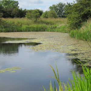 Small Gravel Pit