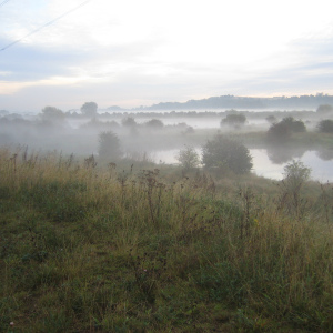 Misty morning