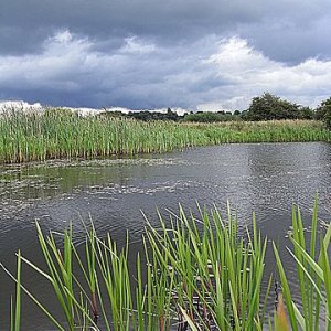 Small Gravel Pit