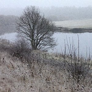 Frosty River Bank