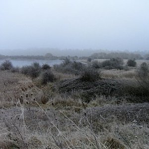 Frosty morning