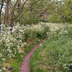 Riverside Walk