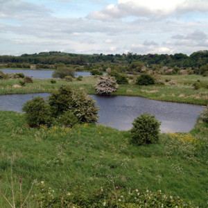 The two Gravel Pits